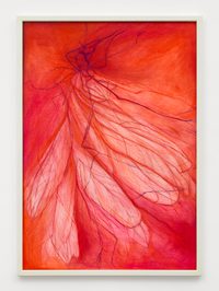 II - I witnessed, a story of origins: the nuptial flight of two flying winged termites at dusk. The II - I witnessed, a story of origins: the nuptial flight of two flying winged termites at dusk. The