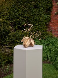 Noxcalidus, The intense heat on the skin of a sleeping person, as if all their secret delusions Noxcalidus, The intense heat on the skin of a sleeping person, as if all their secret delusions