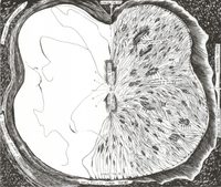 The Origin of Humankind I The Origin of Humankind I