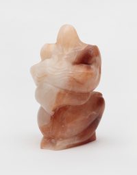 Venus of Kostenki, A 35-year-old female human has ingested a marmoset's brain Venus of Kostenki, A 35-year-old female human has ingested a marmoset's brain