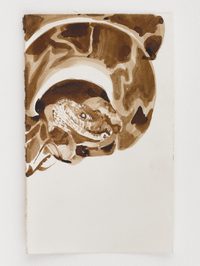 Study (Python in Hand) Study (Python in Hand)