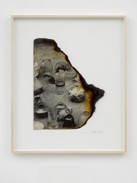 Fish and Lake Fish and Lake