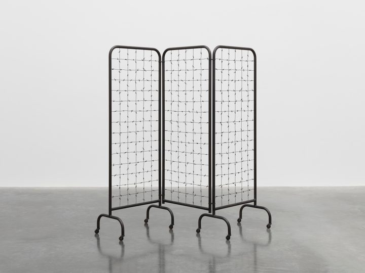 Mona Hatoum — Divide