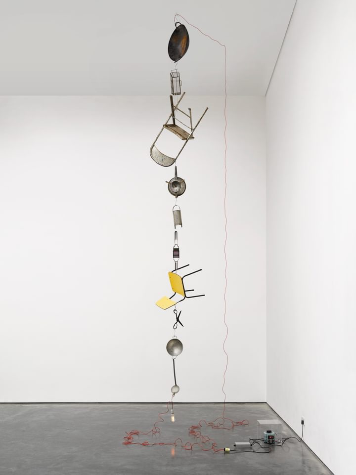 Mona Hatoum - Electrified (variable II) - 1