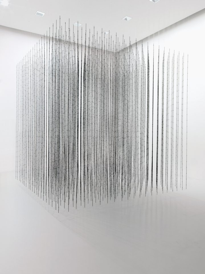 Mona Hatoum — Impenetrable