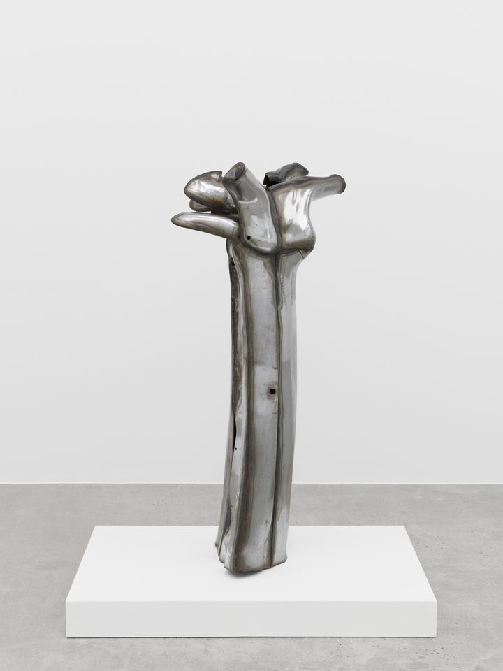 Richard Hunt — Figure Form