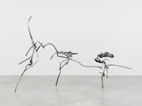 Linear Peregrination Linear Peregrination