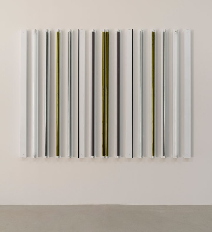 Robert Irwin — HESITATION