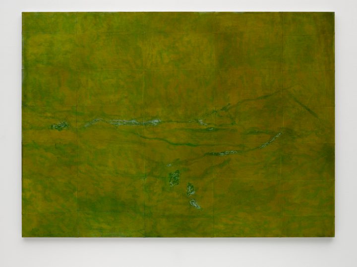 Sergej Jensen — Green Landscape