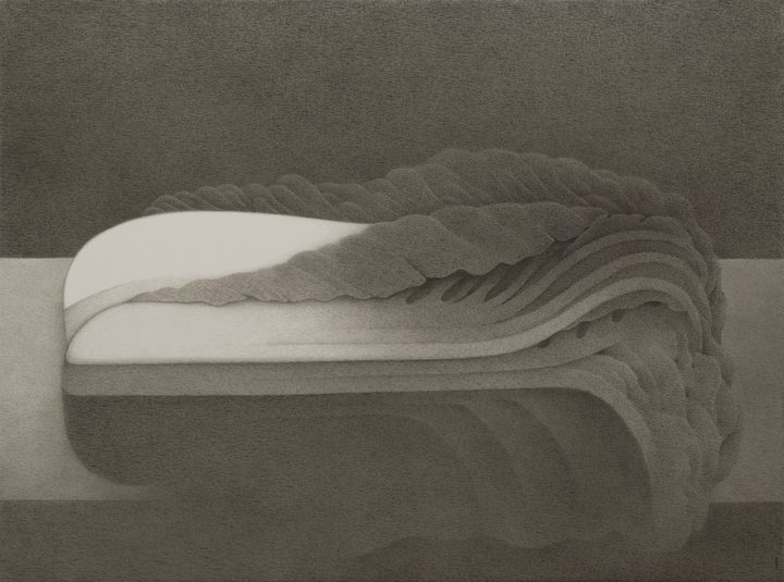 Shao Fan — Chinese Cabbage