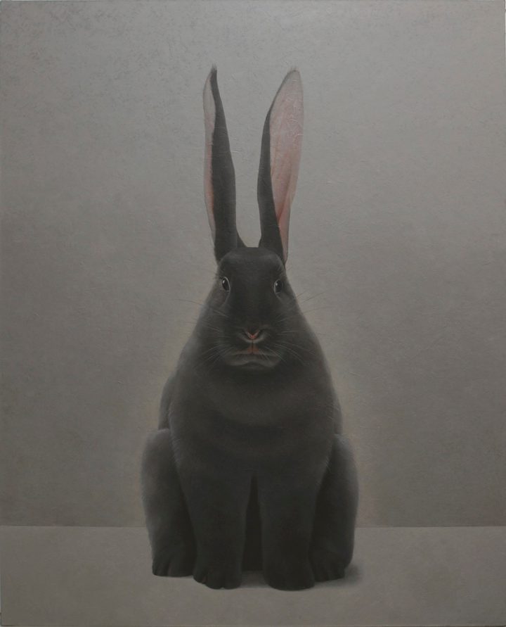 Shao Fan — Rabbit Portrait - Yichou
