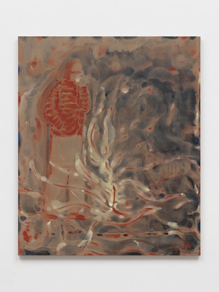 Suleman Aqeel Khilji — Elevation (Chiltan)