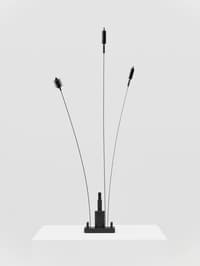 Signal Signal