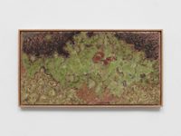 Spiderstones Spiderstones