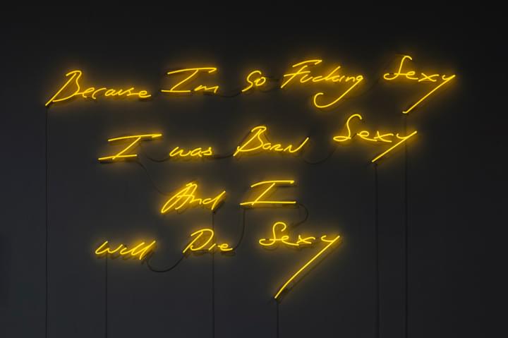 Tracey Emin - Because Im So Fucking Sexy, I Was Born Sexy, And I
Will Die Sexy - 1