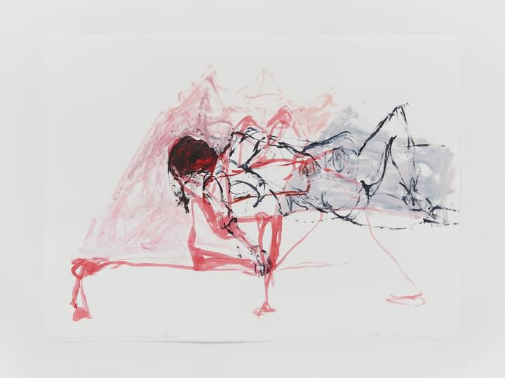 Tracey Emin - Cut up in pieces and Put together Again - 1
