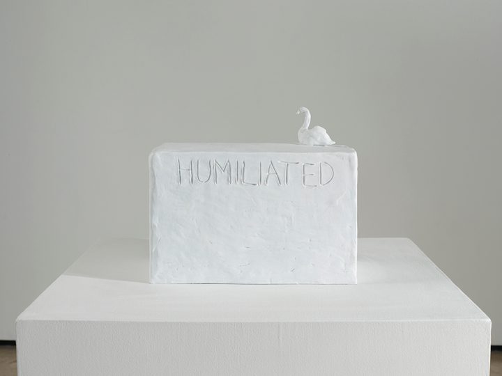 Tracey Emin — Humiliated