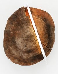 Untitled (Log round) Untitled (Log round)