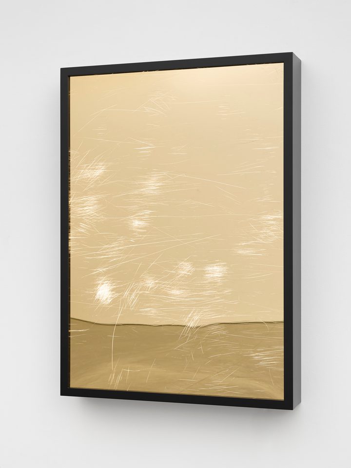 Virginia Overton — Untitled