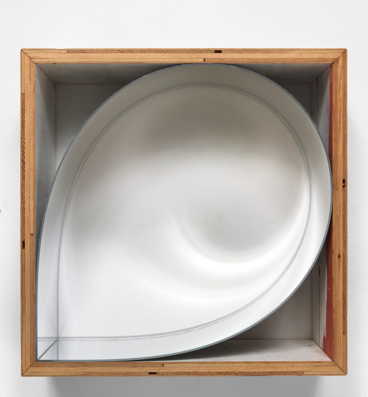 Virginia Overton — Untitled