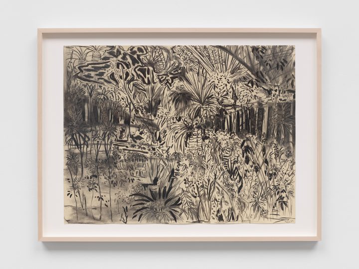 Alia Ahmad — From the fields 5 | من الميادين ٥