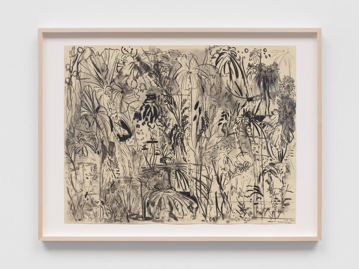Alia Ahmad — From the fields 7 | من الميادين ٧