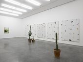 Jack greer inside the white cube white cube bermondsey london 3 june 6 july 2014 medium res 1