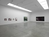 Jeff Wall 2011