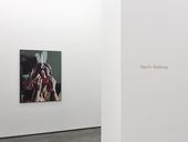 Lucas blalock inside the white cube north gallery i white cube bermondsey london 1 may 7 july 2013 medium res 1