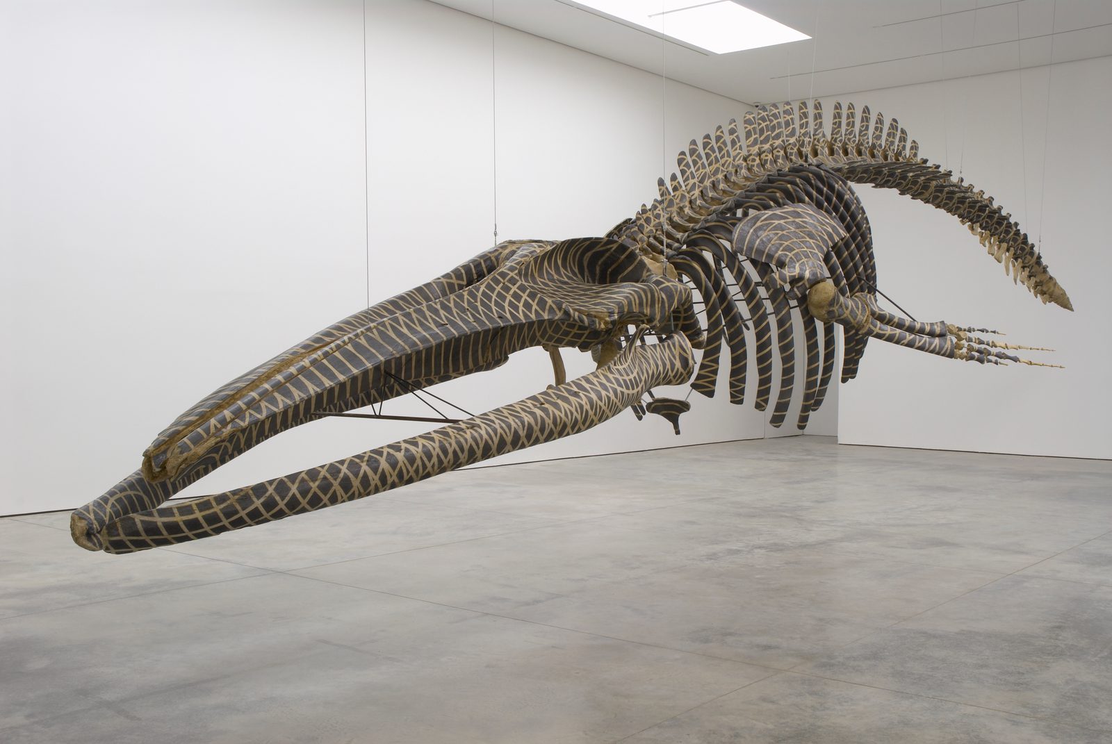 Gabriel Orozco At Museo Jumex White Cube gabriel-orozco-at-museo-jumex-white-cube