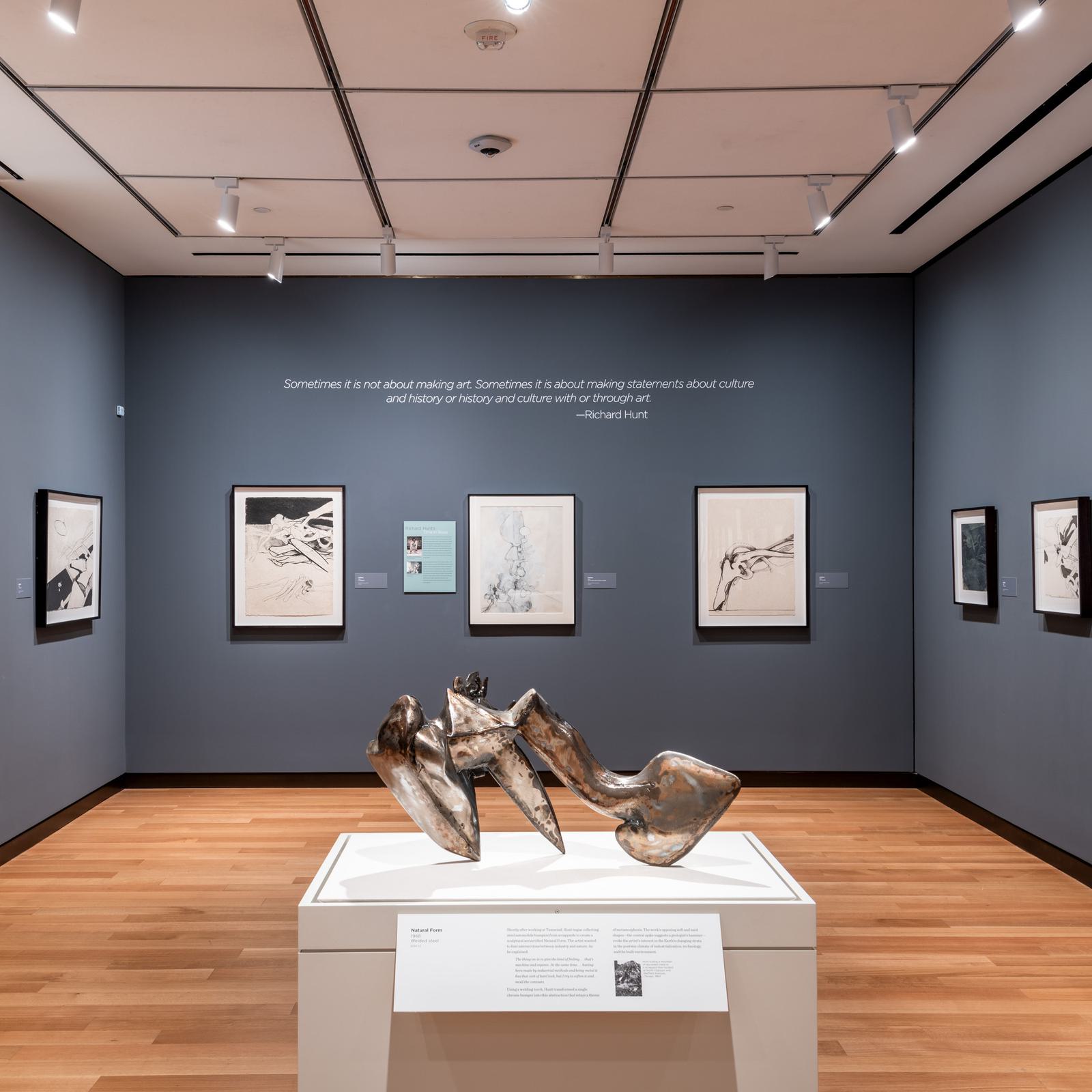 Richard Hunt | White Cube